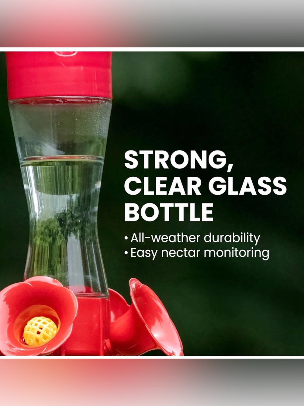 Hummingbird Feeder Perky Pet Backyard Decor Outside - Picture 8 of 9